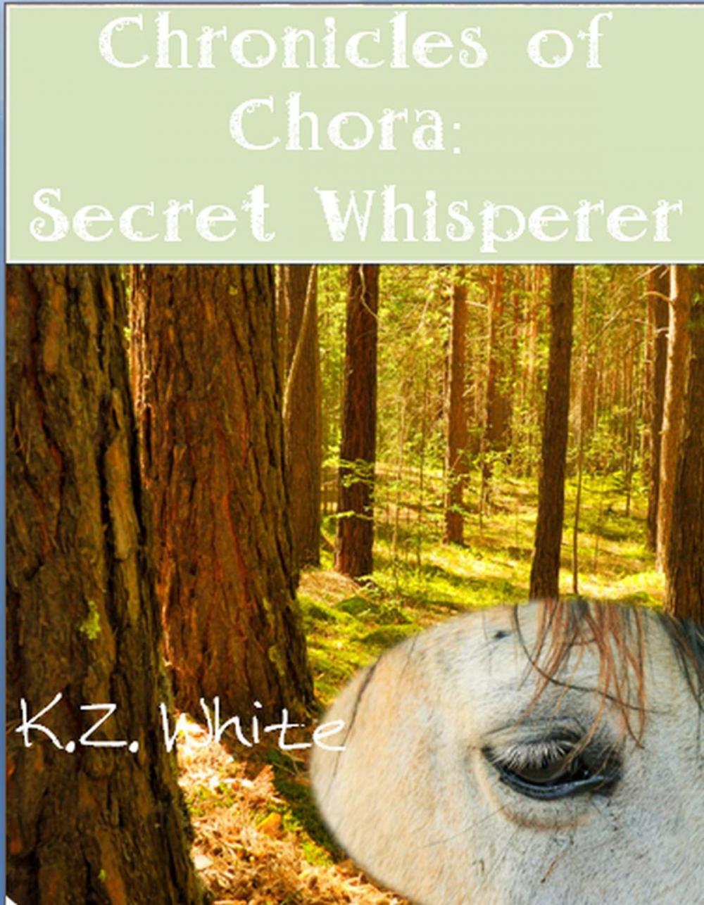 Big bigCover of Secret Whisperer