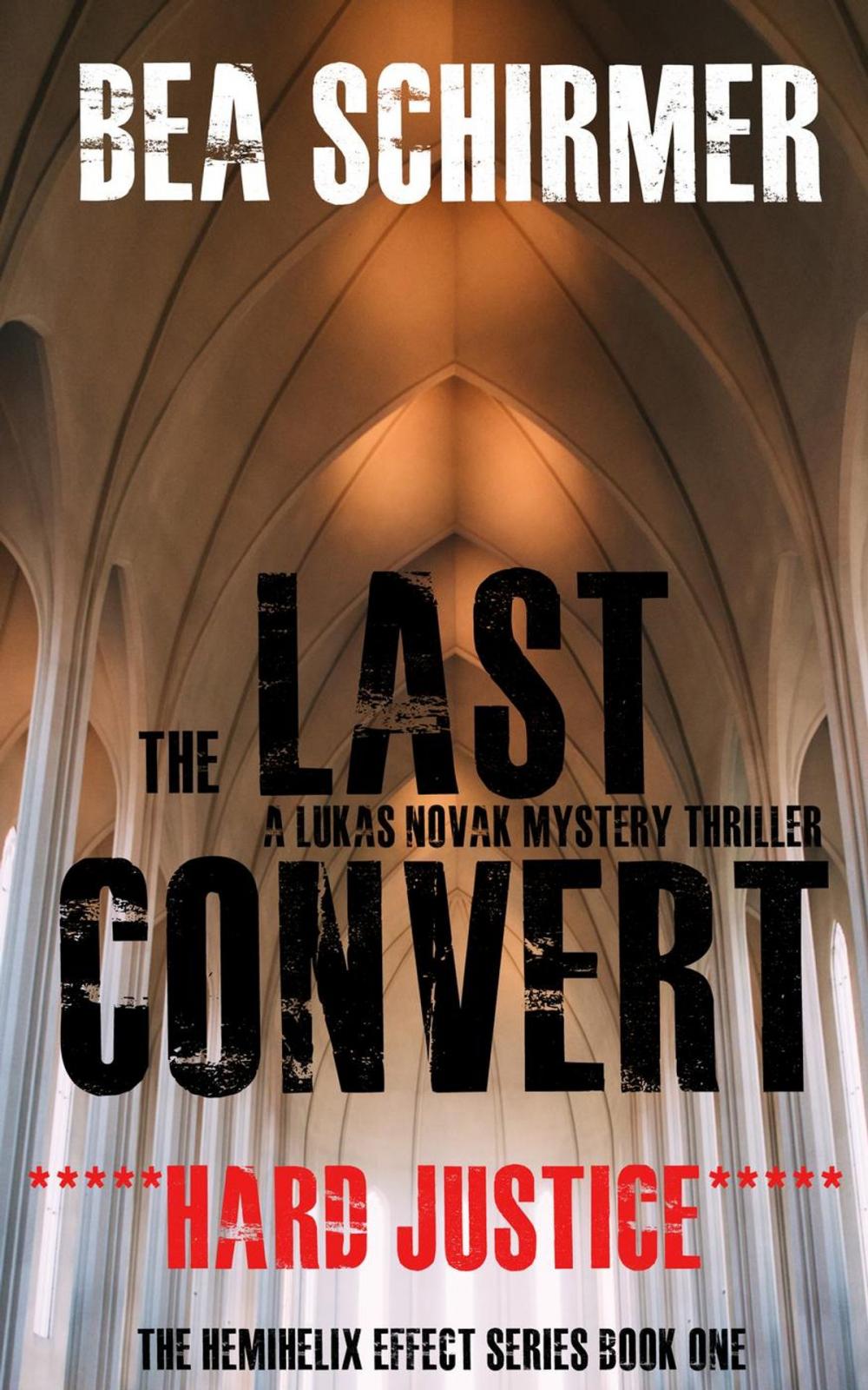 Big bigCover of The Last Convert - Hard Justice