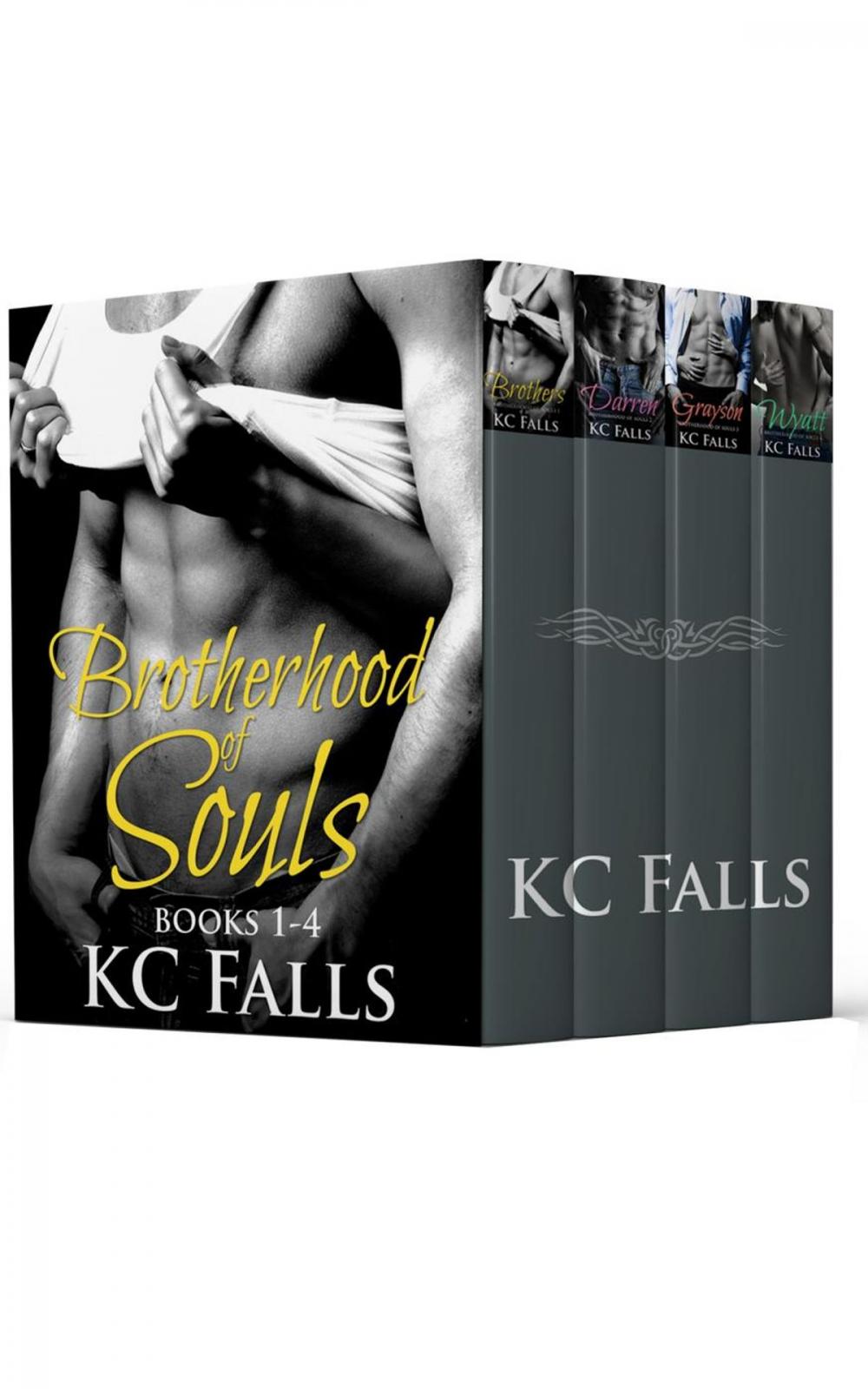 Big bigCover of "Brotherhood of Souls" Books 1-4