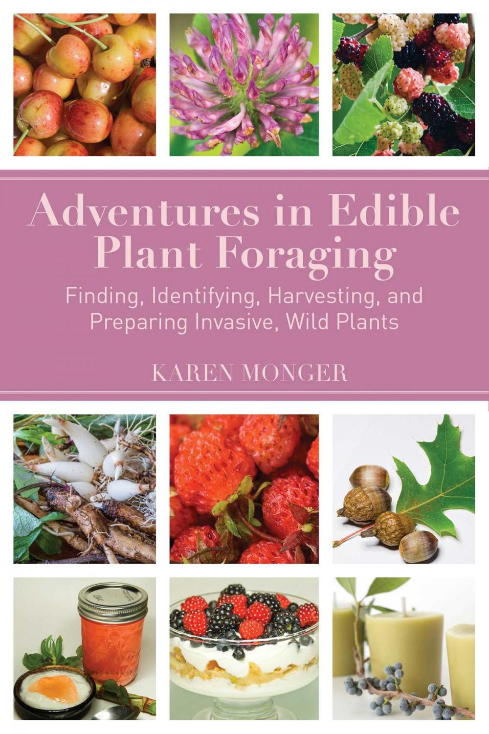Big bigCover of Adventures in Edible Plant Foraging