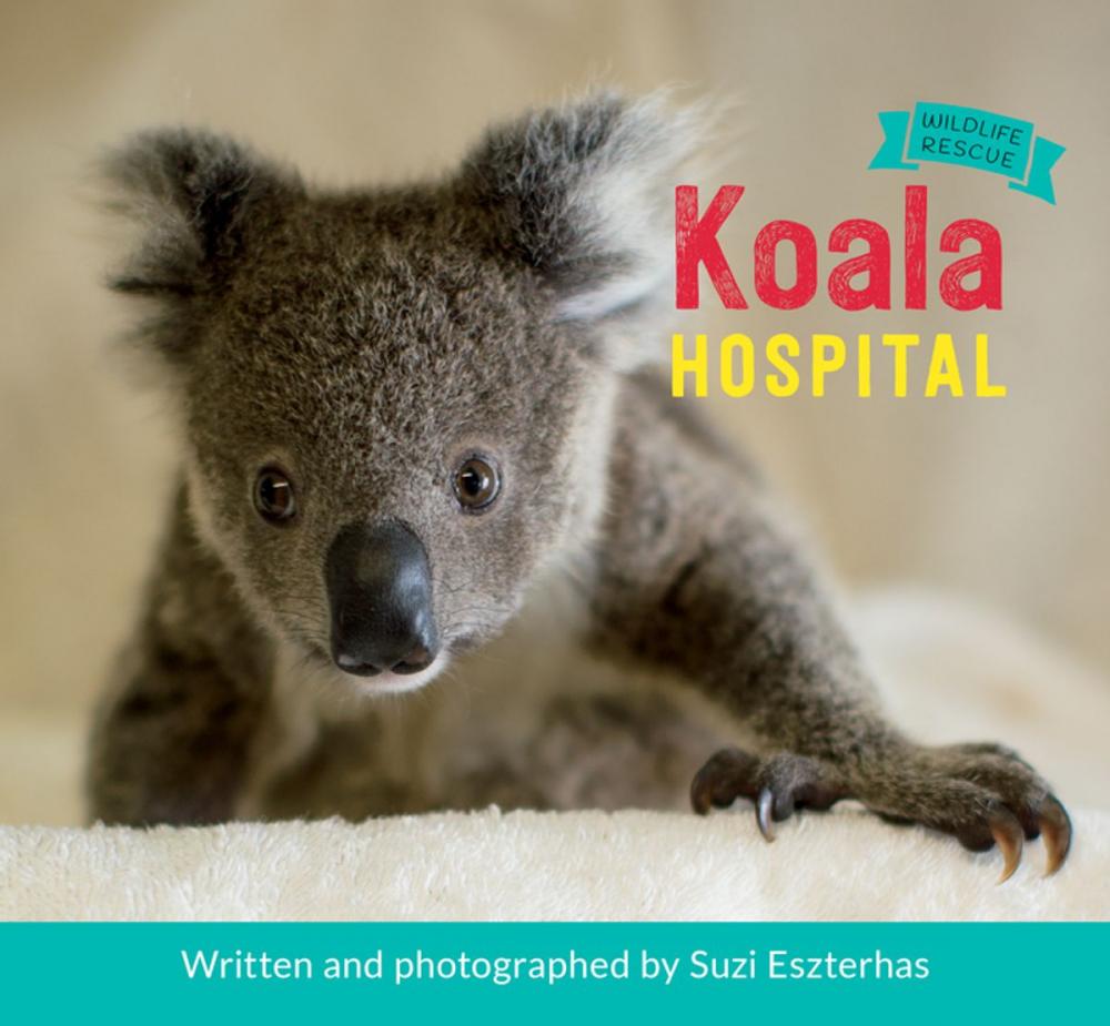 Big bigCover of Koala Hospital