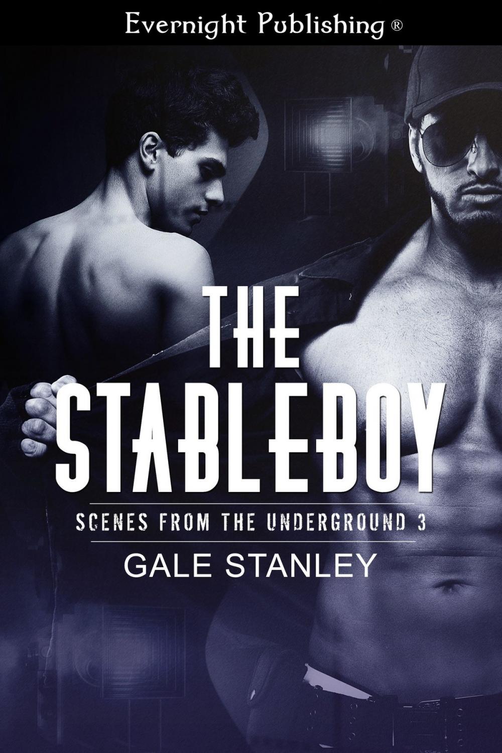 Big bigCover of The Stableboy
