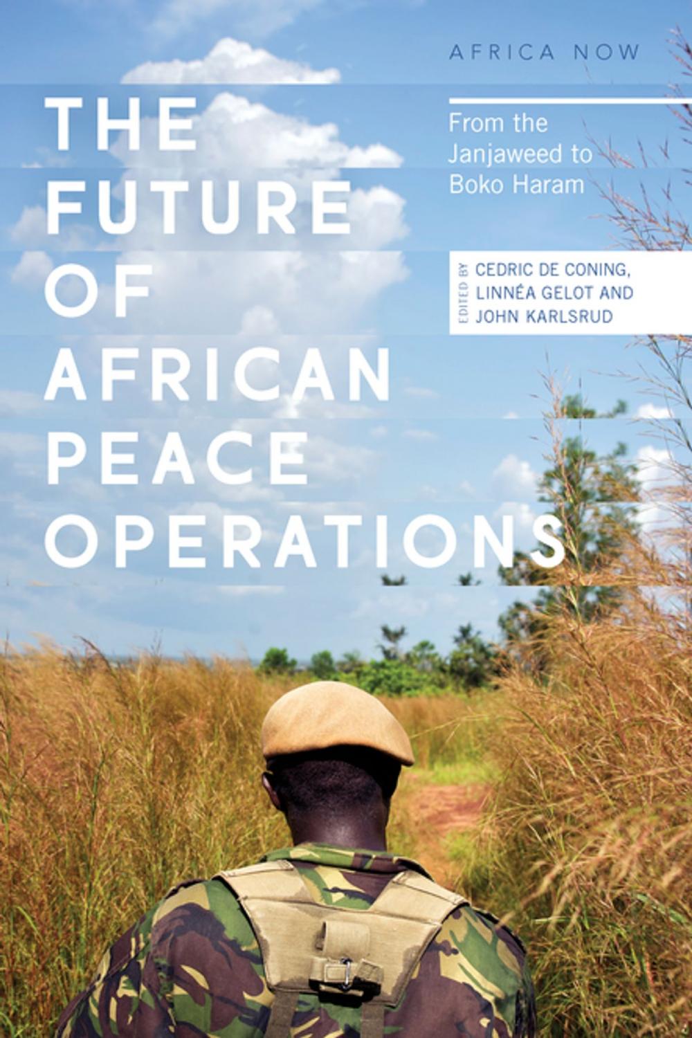 Big bigCover of The Future of African Peace Operations