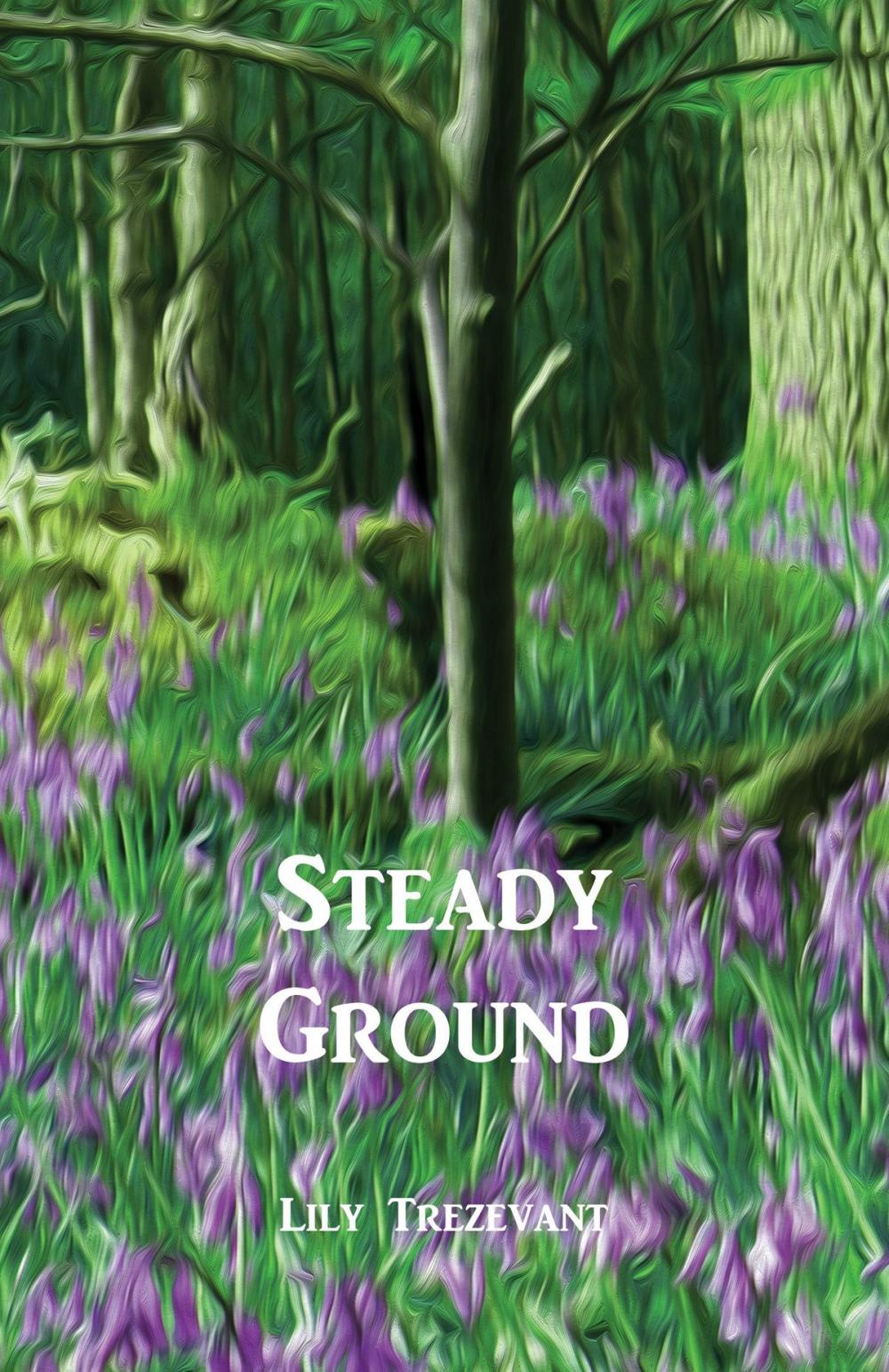 Big bigCover of Steady Ground