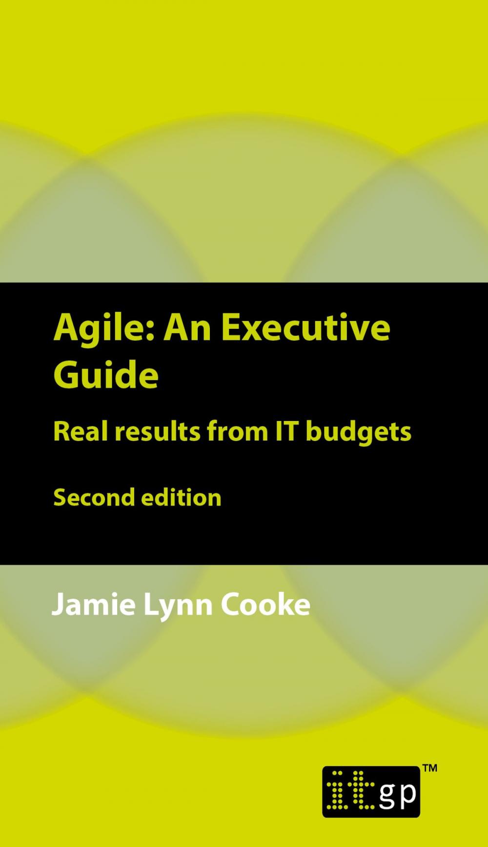 Big bigCover of Agile An Executive Guide