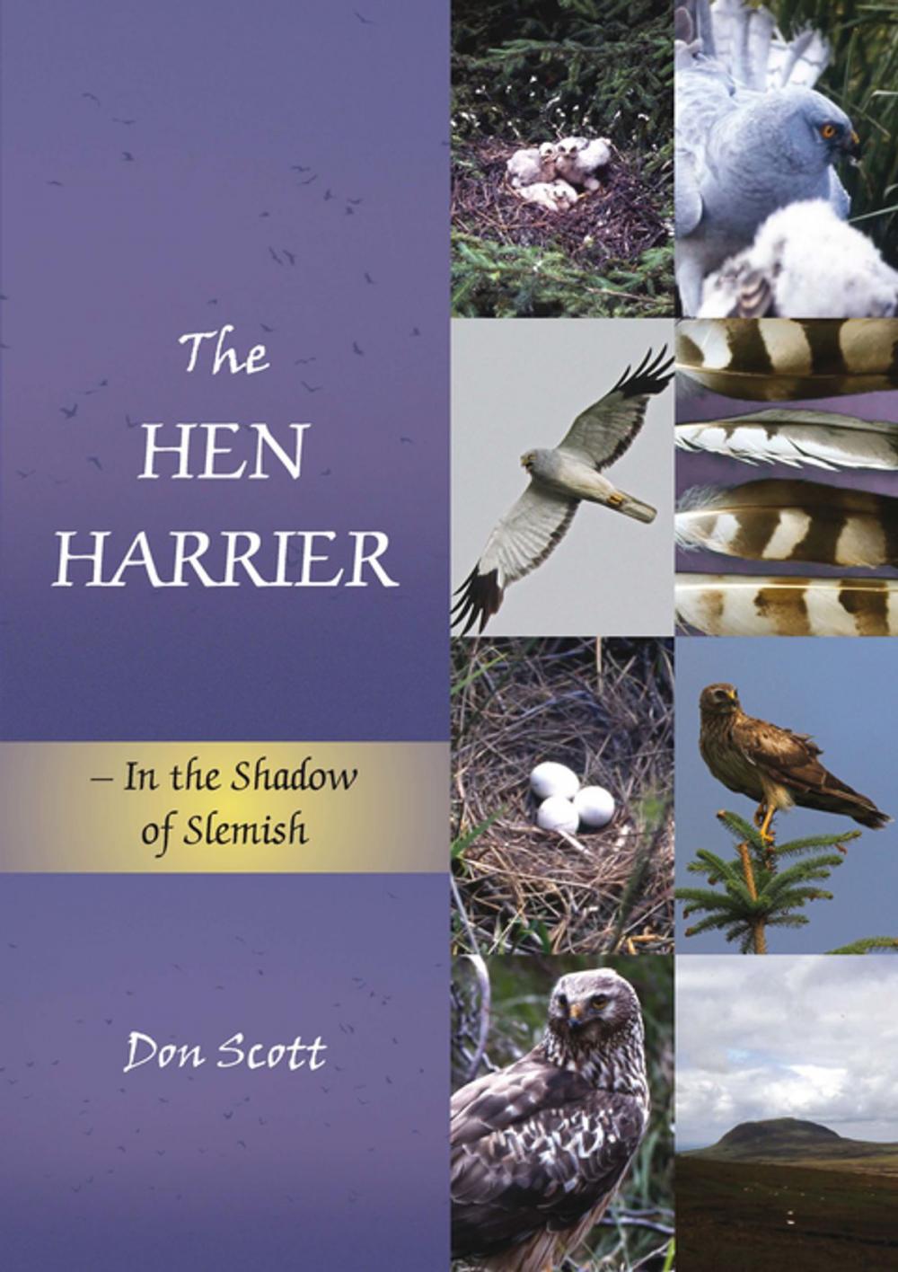 Big bigCover of The Hen Harrier