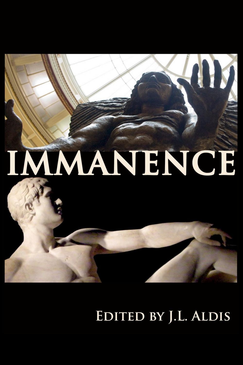 Big bigCover of Immanence
