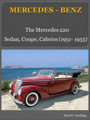 Book cover of Mercedes-Benz 220 W187 with chassis number/data card explanation