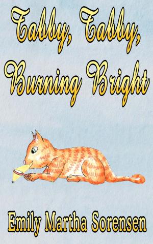 Book cover of Tabby, Tabby, Burning Bright