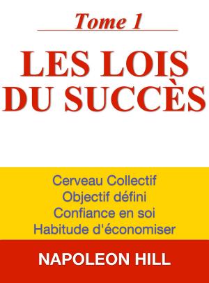 Cover of the book Les lois du succès by Joanna Penn, Cyril Godefroy