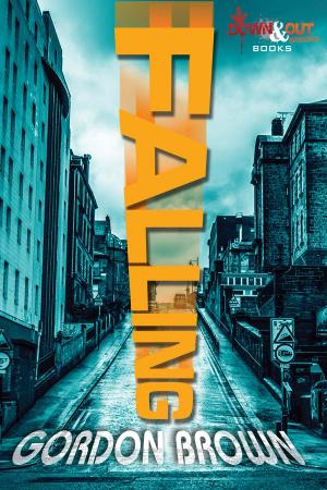 Cover of the book Falling by Matt Hilton
