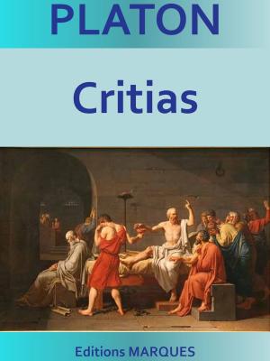 Cover of the book Critias by PLATON