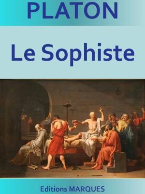 Book cover of Le Sophiste