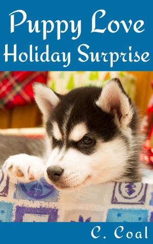 Book cover of Puppy Love Holiday Surprise