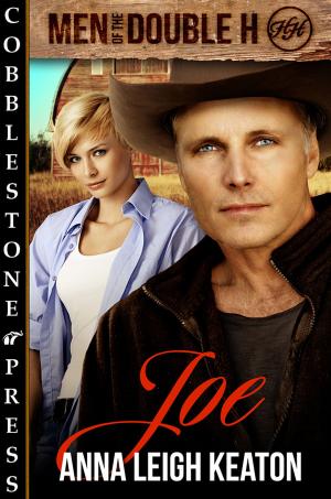 Cover of the book Joe by Belladonna Bordeaux