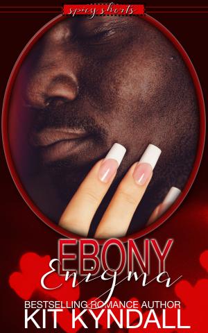 Cover of the book Ebony Enigma by KG Fletcher