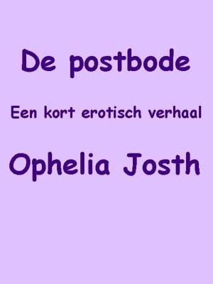 Cover of the book De postbode by Jessica Lee
