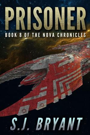 Cover of the book Prisoner by Johnathan B.E. Anderson