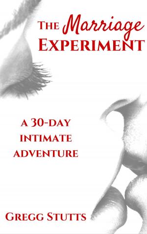 Cover of the book The Marriage Experiment by Mercy Itori