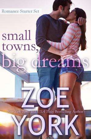 Book cover of Small Towns, Big Dreams