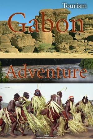 bigCover of the book Tourism in Gabon by 