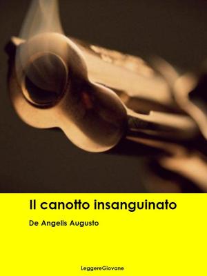 Cover of the book Il Canotto insanguinato by Edgar Allan Poe