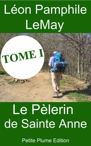 Cover of the book Le Pèlerin de Sainte Anne - Tome I by Jules Barni