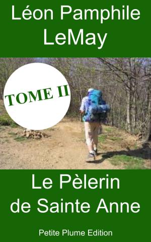 Cover of the book Le Pèlerin de Sainte Anne - Tome II by Edouard Rod