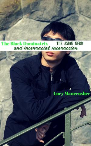 bigCover of the book The Black Dominatrix, the Asian Nerd and Interracial Interaction by 