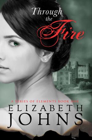 Cover of the book Through the Fire by Kamuela Kaneshiro