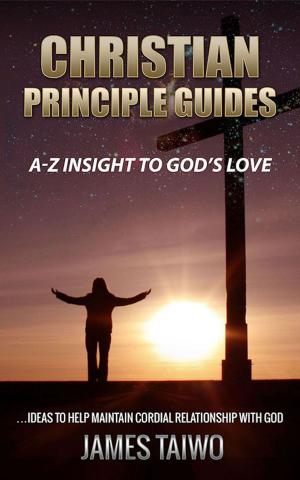 Cover of the book Christian Principle Guides by Frank Moore