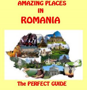 Cover of the book Amazing Places In Romania by Marisa Uberti