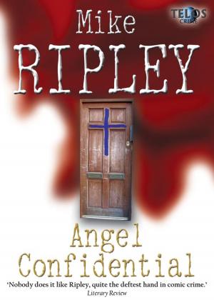 Cover of the book Angel Confidential by Alan Draven