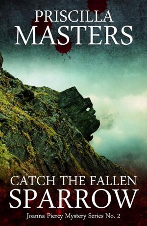 Book cover of Catch the Fallen Sparrow