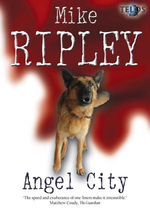 Cover of the book Angel City by Richard Lockridge, Frances Lockridge