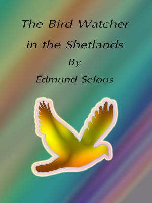 Cover of the book The Bird Watcher in the Shetlands by Kenneth Grahame