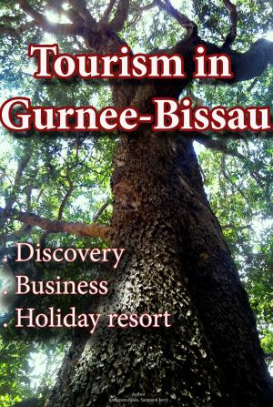 Cover of the book Tourism in Guinea-Bissau by José Braz Pereira da Cruz