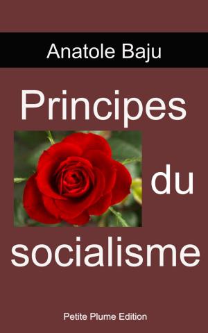 Cover of the book Principes du socialisme by J.H. Rosny aîné