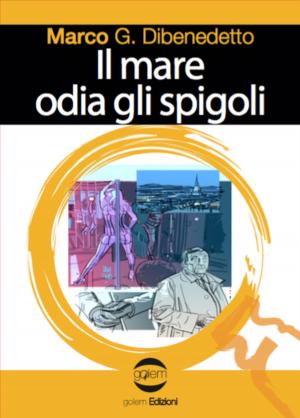 Book cover of Il mare odia gli spigoli