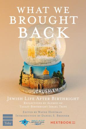 Cover of the book What We Brought Back by Hier, Rabbi Marvin