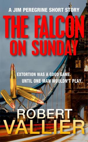 Cover of the book THE FALCON ON SUNDAY by Cherry Adair