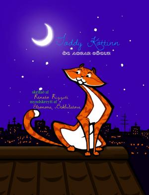 Cover of the book Toddy Köttinn og Aðrar Sögur by Renato Rizzuti, Eleonora Bekbulatova, João Neto