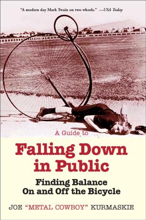 bigCover of the book A Guide to Falling Down in Public by 