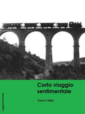 Book cover of Corto viaggio sentimentale