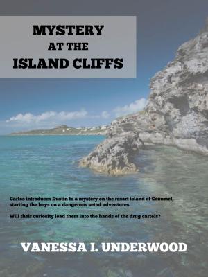 Cover of the book Mystery at the Island Cliffs by Stew Stunes