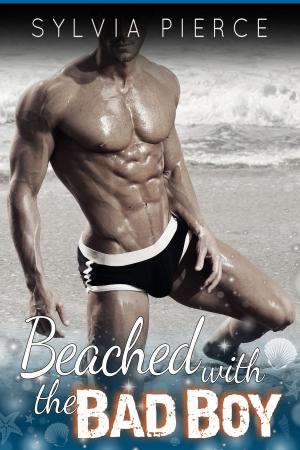 Cover of the book Beached with the Bad Boy by Mary Moriarty