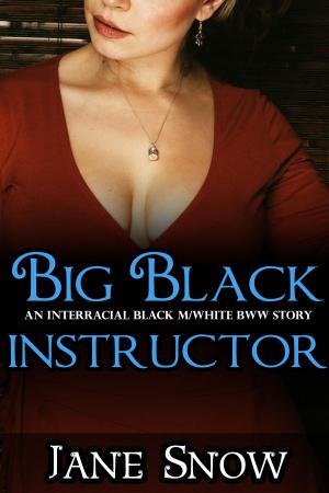 Cover of the book Big Black Instructor by Sorcha Mowbray