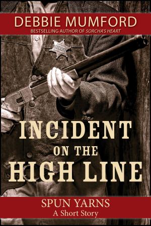 Cover of the book Incident on the High Line by Erik Scott de Bie