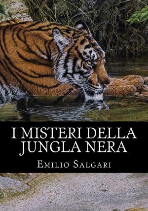 Cover of the book I misteri della jungla nera by Emilio Salgari