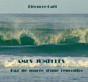 Cover of the book AMES JUMELLES by Maurice Osborn